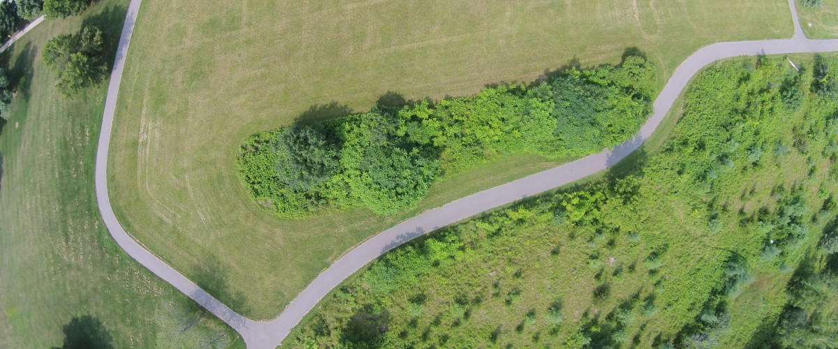 Green Ravine
